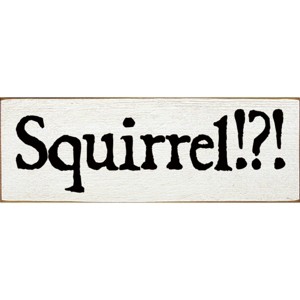 Slickblue Squirrel!? Text Sign, 3.5x10 Rustic Pine Wood Plaque, Hanging or Shelf Decor Sign, Multiple Colors - 1 of 3