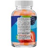 Fiber Gummies for Adults, Tasty Prebiotic Fiber Supplement Gummies for Digestive & Immune Support, Orange & Mixed Berry Flavor, Phytoral, 60ct - 2 of 4