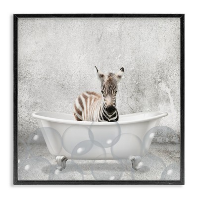 Stupell Industries Baby Zebra Bath Time, 12" x 12"