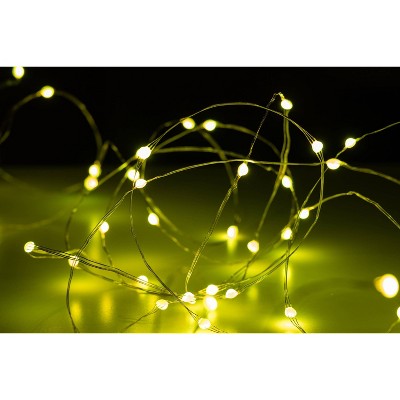 Enbrighten 20&#39; Basics Series String Fairy Lights_0