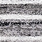 black, ivory, white, medium gray, light gray