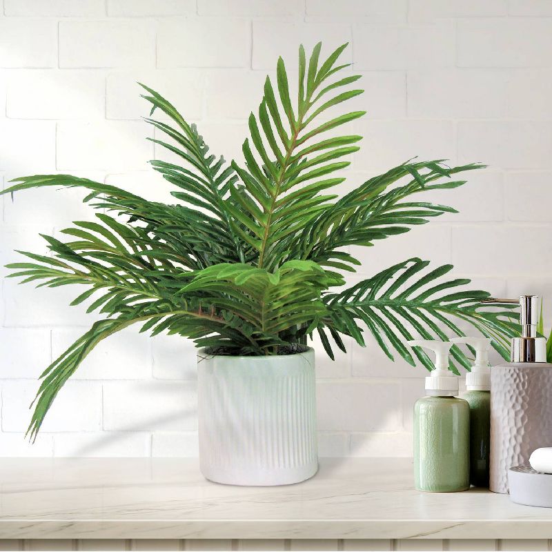 19&#34; x 18&#34; Artificial Phoenix Palm Plant in Ceramic Pot White - LCG Florals, 3 of 5