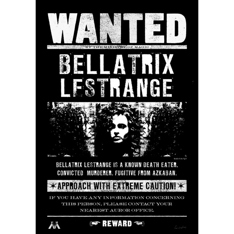 Men's Harry Potter Bellatrix Wanted Poster T-Shirt, 2 of 6