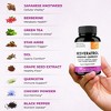 Sandhu's Resveratrol with Berberine for Gut Health, Digestive Supplement for Women & Men, Eases Bloating, 60 Capsules - 3 of 4