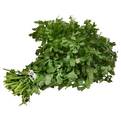 Cilantro Bunch - each