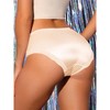 Allegra K Women's Satin Mid-Rised Comfortable Lace Trim Breathable Briefs - image 2 of 4