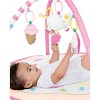 Carter's Alfombra de juego para bebés Sweet Surprise y gimnasio de  actividades infantiles