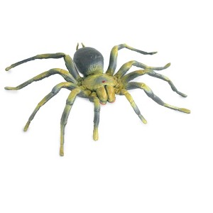 Collectible Wildlife Gifts | Tarantula Spider, Hand Painted, High Quality, Hard Rubber Spider, Realistic Insect, Toy Model, Gift,  5" IM21 B654 - 1 of 4