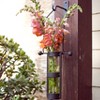 Danya B Wall Mount Hanging Glass Cylinder Vase Set with Metal Cradle and Hook - 2 of 4