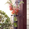 Danya B Wall Mount Hanging Glass Cylinder Vase Set with Metal Cradle and Hook - image 2 of 4