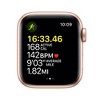 Apple Watch SE (GPS) (1st generation) Aluminum Case - image 3 of 4