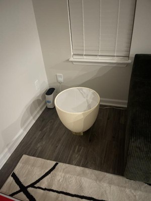 Guest review image 1 of 1, zoom in