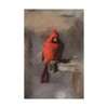 Trademark Fine Art -Lois Bryan 'Bright Red Cardinal on a Perch' Canvas Art - 2 of 3