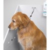 Top Performance Cable Grooming Loop - Ultra-Tough and Durable Loops to Safely Secure Dogs on Tabletops While Grooming, 15", Black - 2 of 2