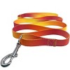 Doggie Design American River Ombre Leash - Raspberry Pink and Orange - 2 of 3
