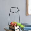NAYSAYE Planter Felix Wall Planter Set of 3 Geometric Design for Indoor Outdoor Garden, Black and Brown, 11.4"*10.6"*18.9" - 4 of 4