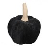 Whisen Velvet Large Pumpkin, Holiday Halloween Decoration, Set of 2 - Black - 2 of 4