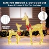 JOYFY 2 Pcs Reindeer Christmas Yard Lights Decoration with 210 LED Lights, Xmas Deer Family Yard Lights for Yard Garden Lawn Outdoor Indoor Decoration - 3 of 4