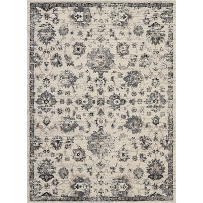 Nourison Fusion Vintage Traditional Indoor Area Rug