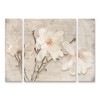 Trademark Fine Art -LightBoxJournal 'Spring Magnolia' Multi Panel Art Set Large 3 Piece - 2 of 3