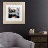 Trademark Fine Art - David H Yang The Last Sunshine Matted Framed Art - 2 of 4