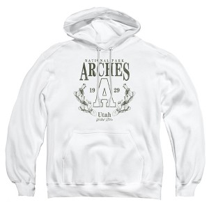Men's Arches National Park Prickly Pear Wreath Pull-Over Hoodie - 1 of 4