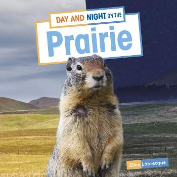 Day and Night on the Prairie - (Habitat Days and Nights) by  Ellen Labrecque (Hardcover)