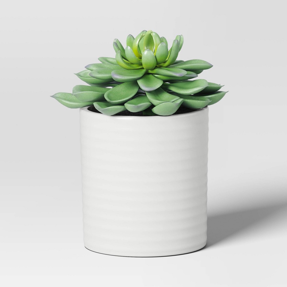 Small Succulent Artificial Plant Arrangement - Threshold™ Set 4 