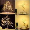 Perfect Holiday 60LED Tree Lights, Battery Operated, Warm White - 3 of 4