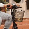 Jetson Bike Front Basket - image 2 of 4