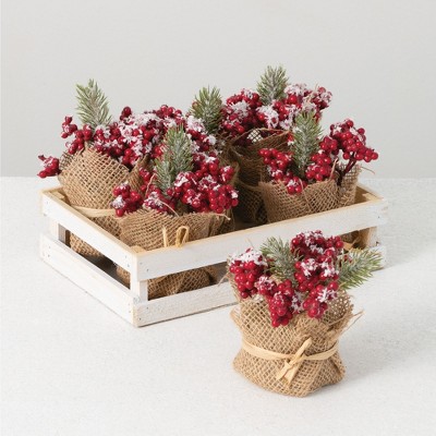 Sullivans Artificial Berry and Pine Tray - 6 Potted 5.5"H Red and Green