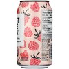 Just Ice Tea Organic Raspberry Tea  - Case of 12/12 fz - 4 of 4