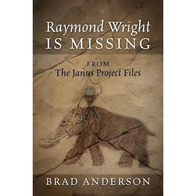 Raymond Wright Is Missing - by  Brad Anderson (Paperback)