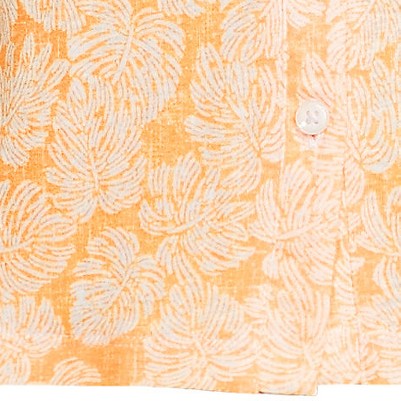 sweet mango palm leaves