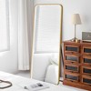 ACEPANO 64.2 in. H Full-Length Mirror with 3-Color Adjustable Lighting-Gold - 2 of 4