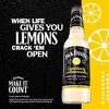 Jack Daniel's Country Cocktail Malt Variety - 12pk/10 fl oz Bottles - 3 of 4