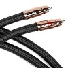 AudioQuest Black Beauty RCA Interconnect Cable - 4.92' (1.5m) - 2 of 4