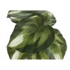 Artificial Plant, 13" Tall, Monstera Calthea, Indoor, Faux, Fake, Table, Greenery, Potted, Set Of 2, Decorative, Green Leaves, Black Pots - 3 of 4