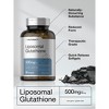Horbaach Liposomal Glutathione Supplement 500mg | 90 Softgels - 3 of 4
