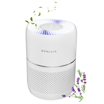 Oval White H13 HEPA Smart Desk Air Purifier