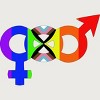 Adult Design By Humans Unified Pride Symbol Rainbow By T-Shirt - 2 of 2