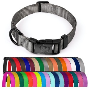 Country Brook Petz Everyday Nylon Dog Collar - 1 of 4