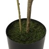 NicBex Artificial Tree in Pot  Realistic Disc Leaf Faux Plant with Bendable Branches, Calming Home Decor Floor Tree No Maintenance - 4 of 4