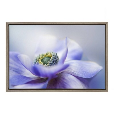 23" x 16" Anemone De Caen Framed Canvas Wall Art - Amanti Art