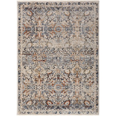 Kaia Transitional Damask Tan/Blue/Orange Area Rug