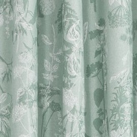 green-alida