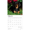 BrownTrout Dachshunds 2026 12"x24" Hanging Square Wall Calendar Plastic-Free - 3 of 4