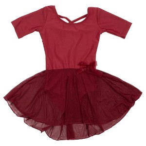 Leveret Girls Elbow Sleeve Skirt Leotard - 1 of 4