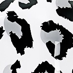 white+black leopard