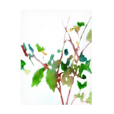 Trademark Fine Art - Janel Bragg Botanical from the Courtyard 6 Canvas Art
